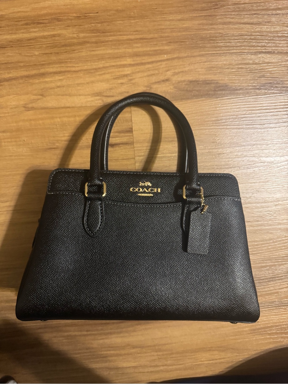 Coach Mini Darcie Carryall Bag
